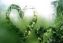 国青队时隔9年打入亚青赛八强 能否重回世青赛怀抱？.